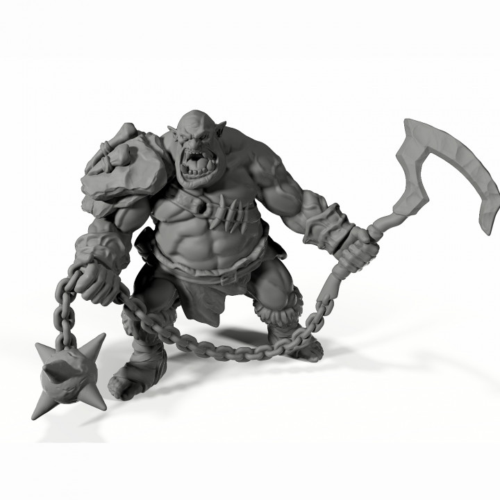 Ogre Champion - Professionally pre-supported! image