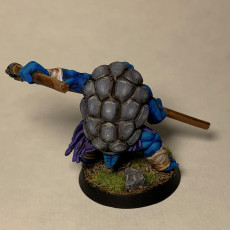 Picture of print of Tortle Monk - Professionally pre-supported!