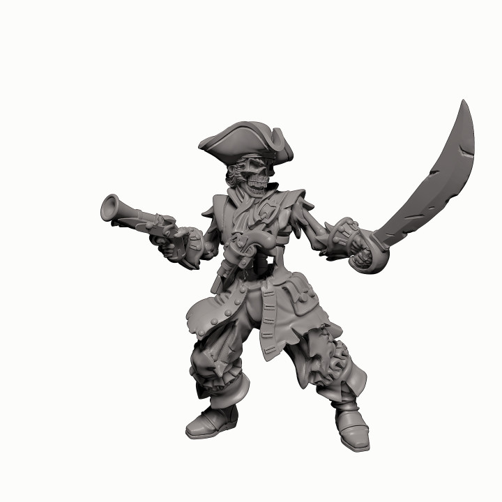 Skeleton Pirate Captain- Professionally pre-supported! image