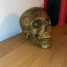 Picture of print of Filigree Anatomical Skull - Pre-supported STL