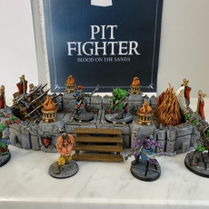 Picture of print of Pit Fighter Arenas - Professionally pre-supported!