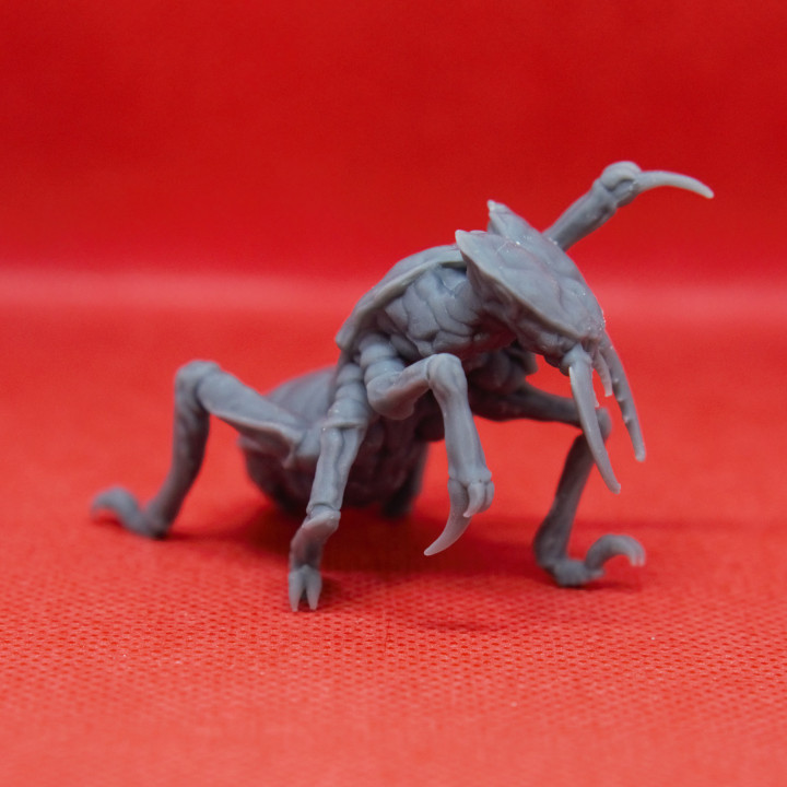 Ankheg - Tabletop Miniature (Pre-Supported) image