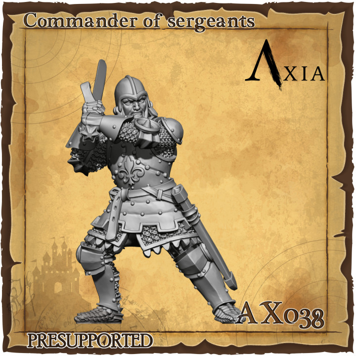 AX038 Squire Two Handed Sword image
