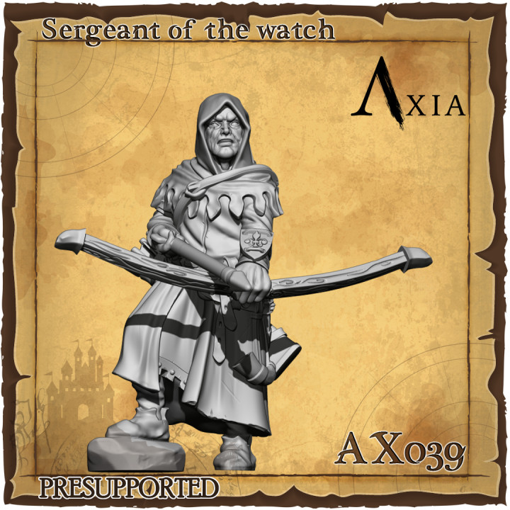 AX039 Squire Bow image