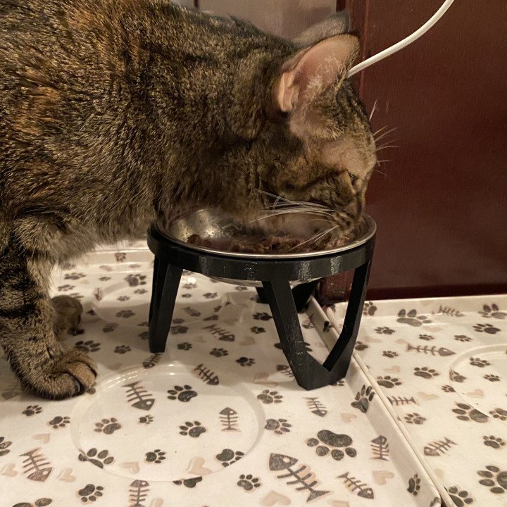 Elevated cat (small pet) bowl stand image