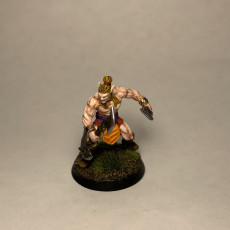 Picture of print of Wood Elf Blade Dancer  - Professionally pre-supported!