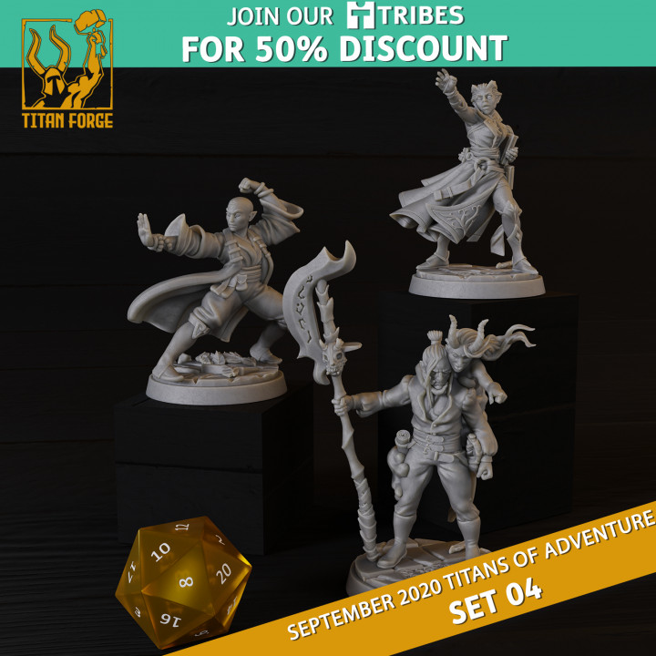 RPG - DnD Hero Characters - Titans of Adventure Set 4 image