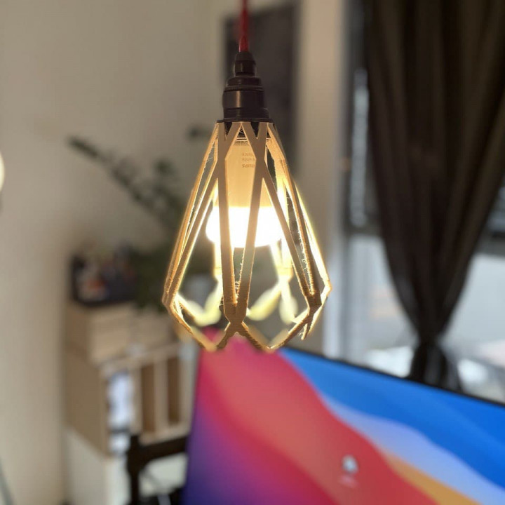 FLSK - LAMP SHADE image