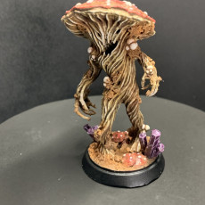 Picture of print of GROTTO FUNGI WARRIOR 1