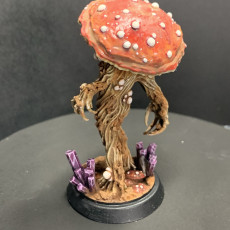 Picture of print of GROTTO FUNGI WARRIOR 1