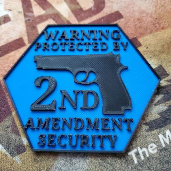 Protected by 2nd amendment 2 image