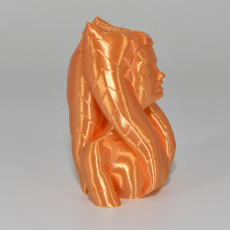 Picture of print of Ahsoka Tano Bust Support Free