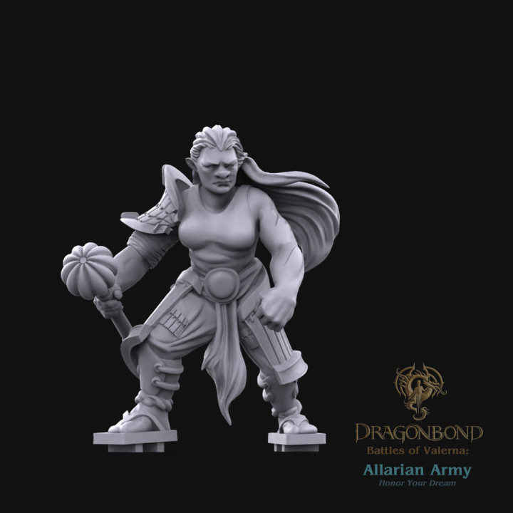 Allarian Grand Guild Enforcers Unit from Dragonbond Wargame image