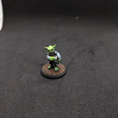 Picture of print of Goblin librarian pre-supported