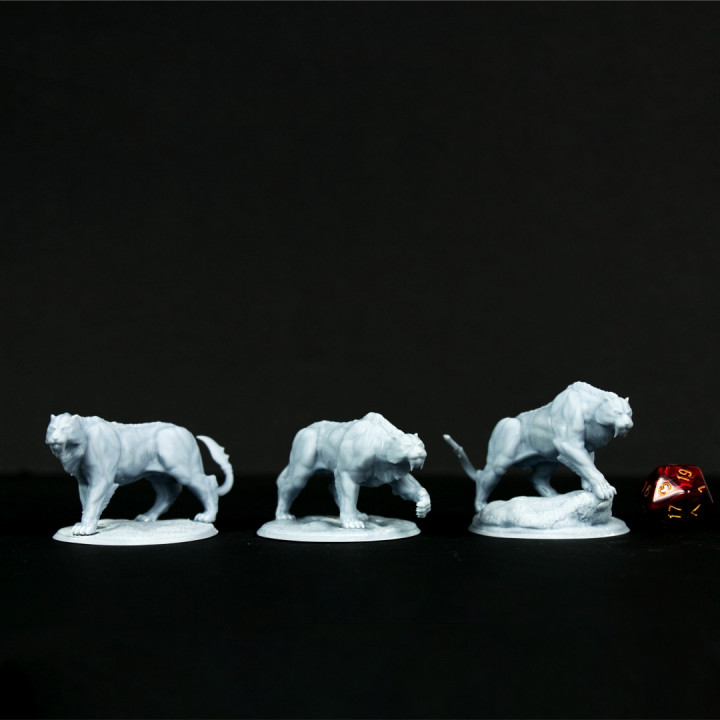 3 saber-toothed tigers image