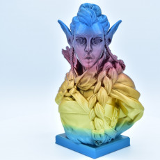 Picture of print of Elf Archer Bust Support Free