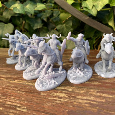 Picture of print of VIKING: Riders Modular Warband /Pre-supported/