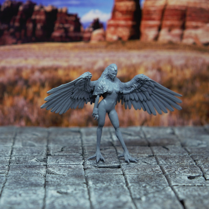 Harpy - Tabletop MIniature (Pre-Supported) image
