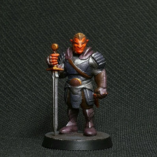 Picture of print of Hobgoblin - Tabletop Miniature (Pre-Supported)