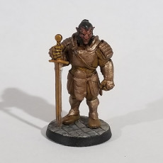 Picture of print of Hobgoblin - Tabletop Miniature (Pre-Supported)