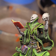 Picture of print of Lich - Tabletop Miniature (Pre-Supported)