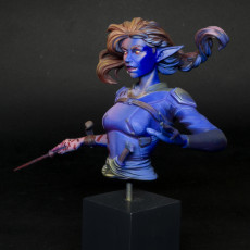 Picture of print of Vaelia Arra, sorcerer bust pre-supported
