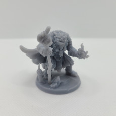 Picture of print of Bugbear Shaman