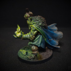 Picture of print of Bugbear Shaman