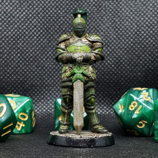 Picture of print of Aaron- knight - 32mm - DnD