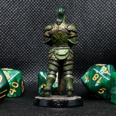 Picture of print of Aaron- knight - 32mm - DnD