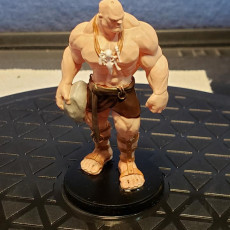 Picture of print of Stone Giant - Tabletop Miniature (Pre-Supported)