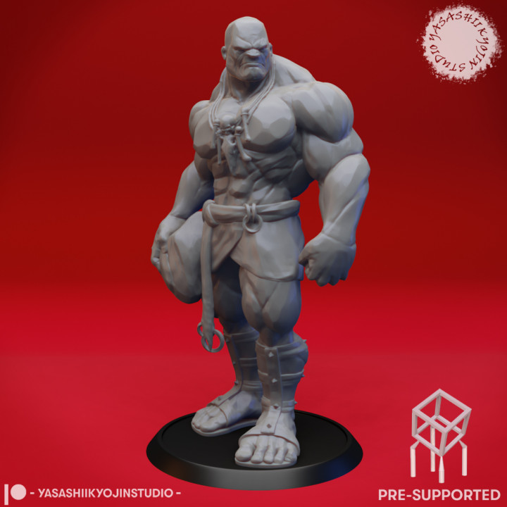 Stone Giant - Tabletop Miniature (Pre-Supported) image