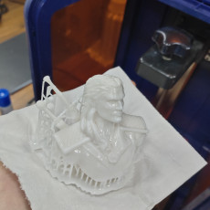 Picture of print of Geralt of Rivia / the Witcher bust / Henry Cavill