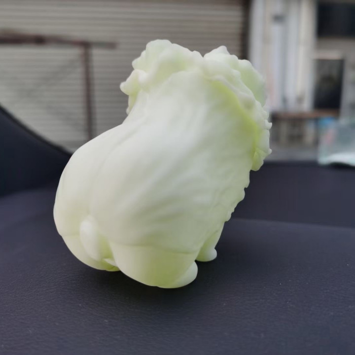 Vegetable dog Chinese cabbage dog miniature image