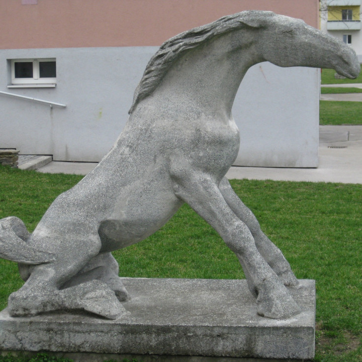 Horse getting up image
