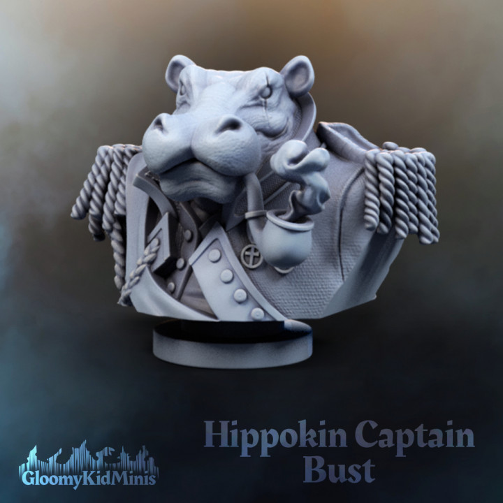 Hippokin Captain Bust image