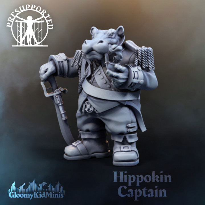Hippokin Captain image