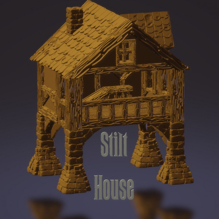 Stilt House image