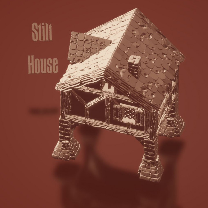 Stilt House image