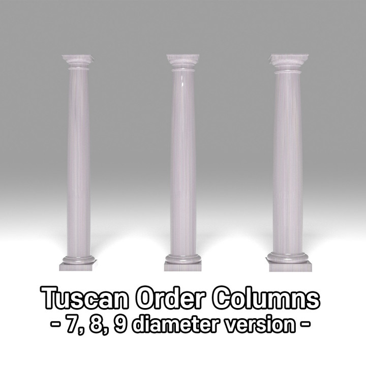 the Tuscan Order column image