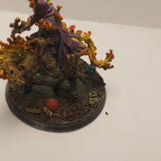 Picture of print of Swamp Darr Mushroomancer