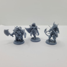 Picture of print of RPG - DnD Hero Characters - Titans of Adventure Set 6