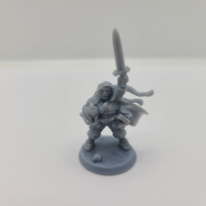 Picture of print of RPG - DnD Hero Characters - Titans of Adventure Set 7