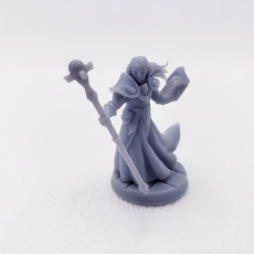 Picture of print of RPG - DnD Hero Characters - Titans of Adventure Set 1