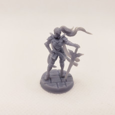 Picture of print of RPG - DnD Hero Characters - Titans of Adventure Set 1