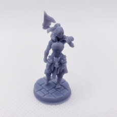Picture of print of RPG - DnD Hero Characters - Titans of Adventure Set 2