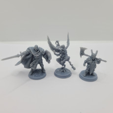 Picture of print of RPG - DnD Hero Characters - Titans of Adventure Set 5