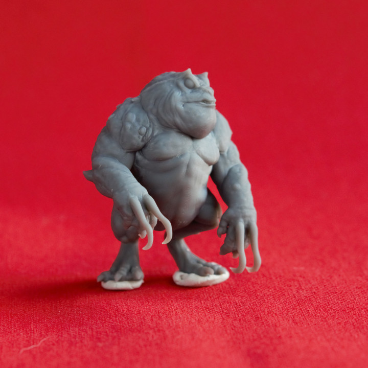 Slaad Mob  - Tabletop Miniatures (Pre-Supported) image