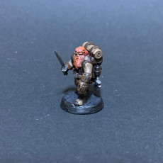 Picture of print of Free Private Dwarf Soldier
