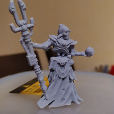 Picture of print of Cyborg lich